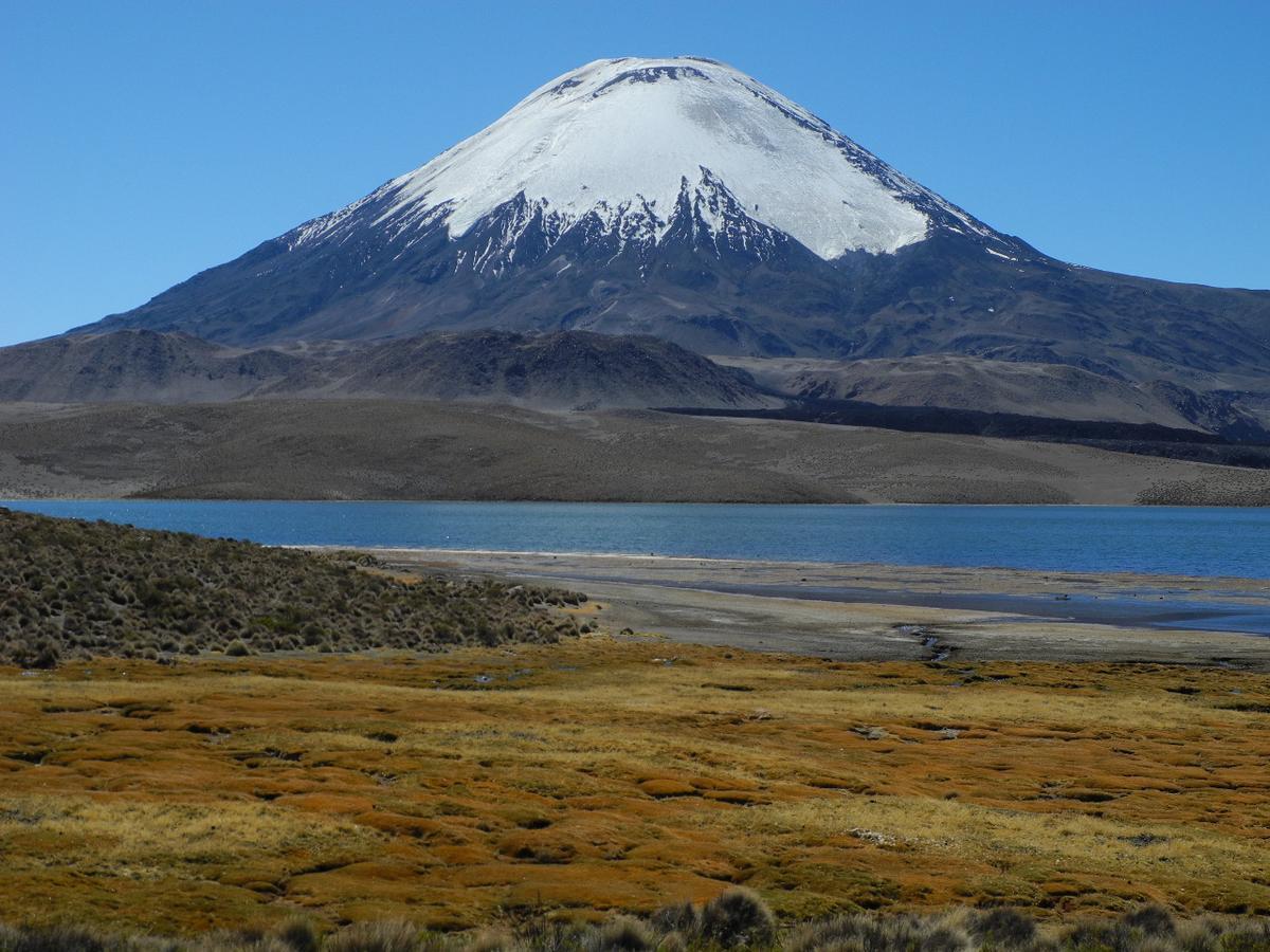 Hostal Vientos Del Altiplano Putre Buitenkant foto